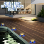 solar path light D Smart Gadgets