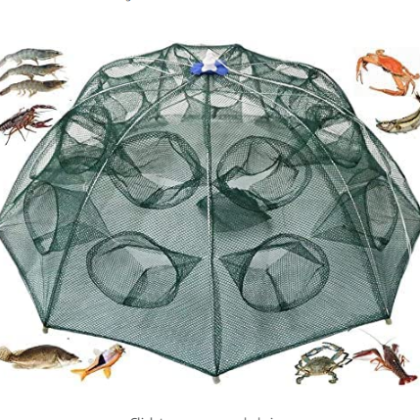 Portable Fishing Net:...